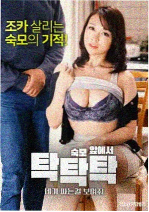 双星之阴阳师 动漫 播出情报整理配图